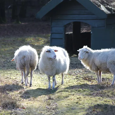 Bilderberg Résidence Groot Heideborgh 4*