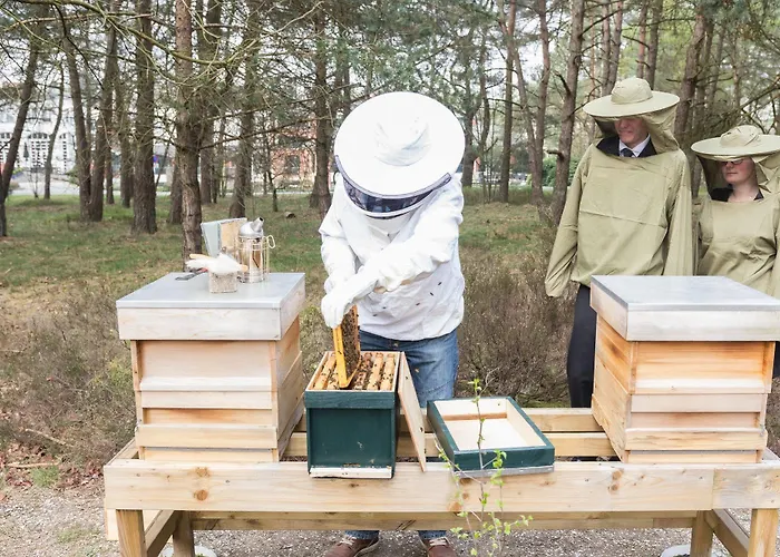 彼尔德伯格酒店