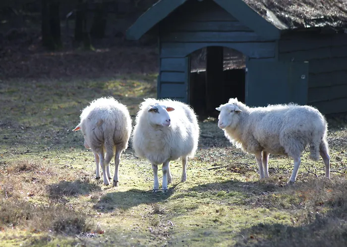 Bilderberg Groot Heideborgh 4*